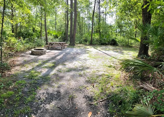 Okefenokee Pastimes Cabins And Campground