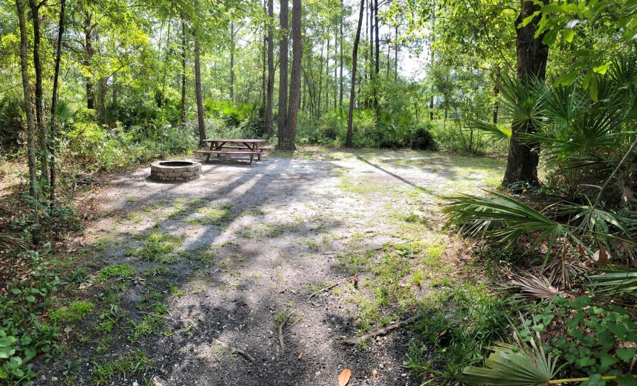 Campsite Okefenokee Pastimes And